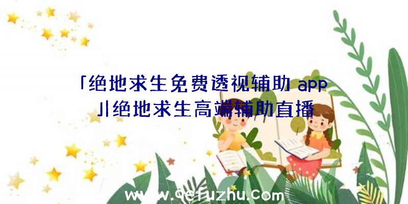 「绝地求生免费透视辅助